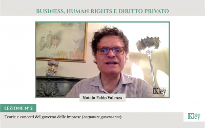 BUSINESS, HUMAN RIGHTS E DIRITTO PRIVATO   Teorie e concetti del governo delle imprese (corporate governance)